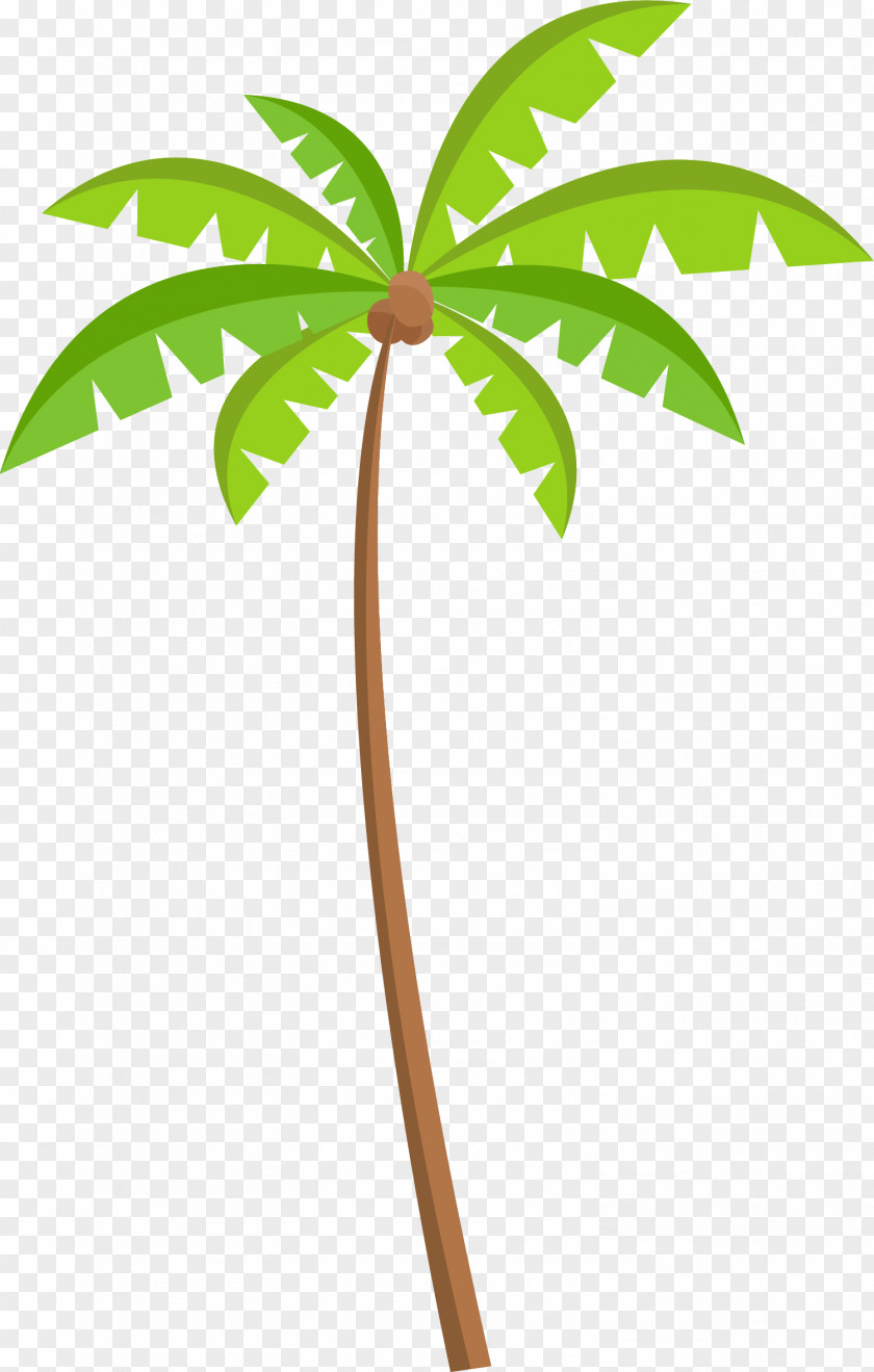 Green Coconut Tree Material PNG