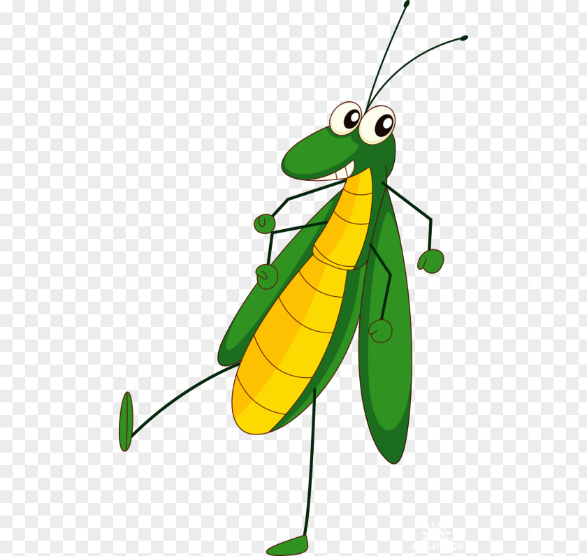 Insect Cartoon Grasshopper PNG