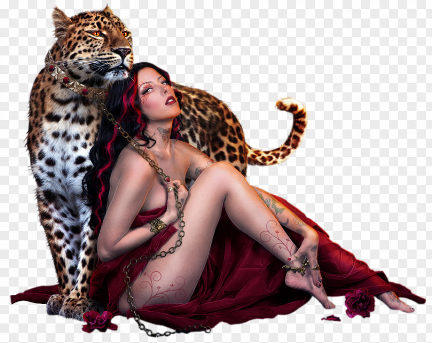 Leopard Cheetah Cat Animal Woman PNG