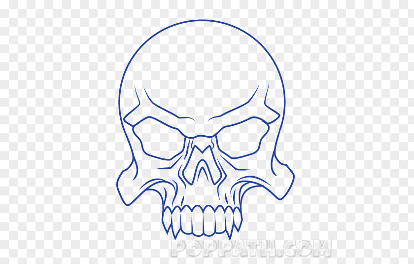 Nose Drawing Art Skull Clip PNG