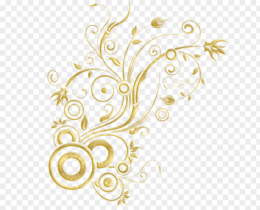 Ornament Photography Clip Art PNG