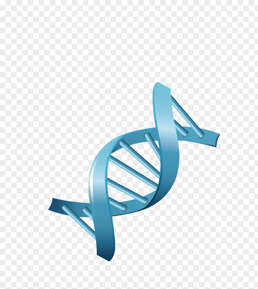Vector DNA Genetics Biology PNG