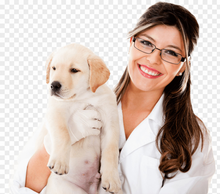 Dog Veterinarian Veterinary Medicine Rahway Animal Hospital Pharmacy PNG
