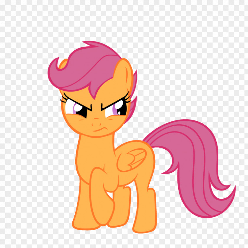 My Little Pony Scootaloo Rainbow Dash Rarity Applejack PNG