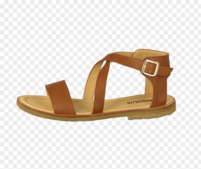 Sandal Slipper Shoe Leather Schuhmodell PNG