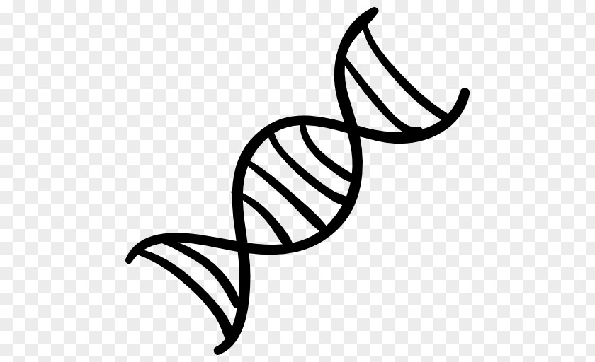 DNA Nucleic Acid Double Helix Genetics PNG