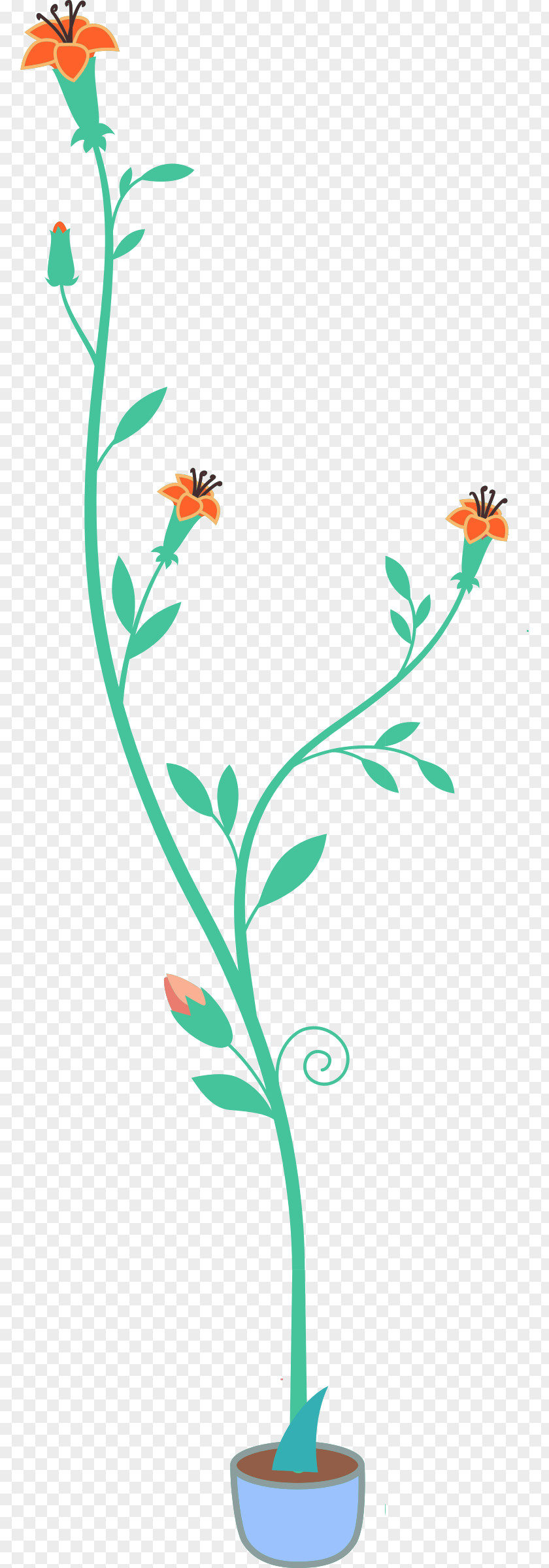 Flower Pot Top View Plant Clip Art PNG