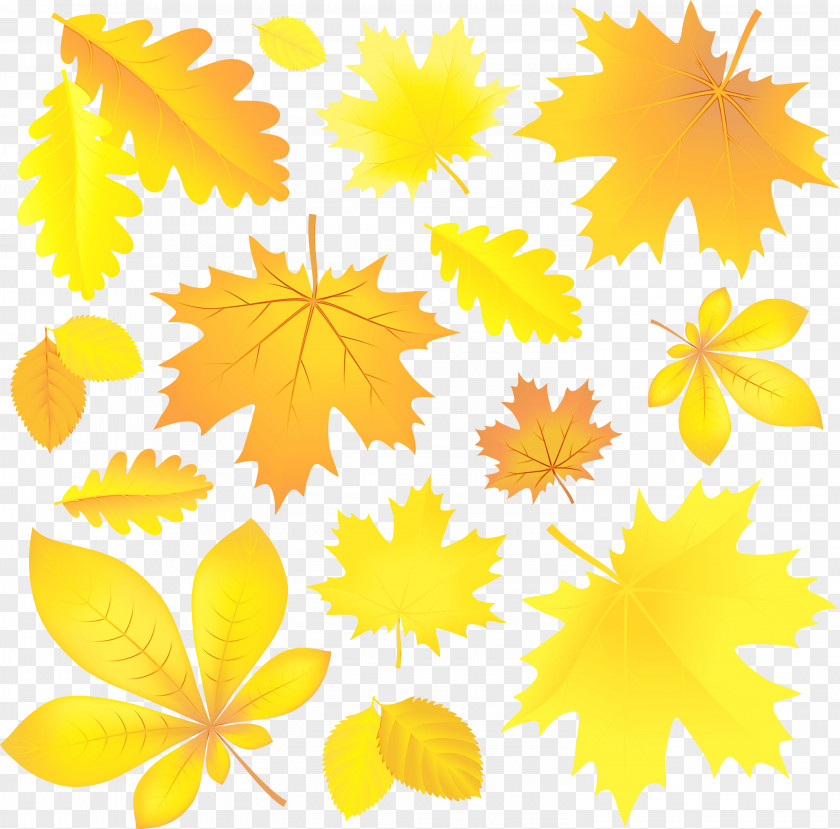 Flower Tree Autumn Leaves Watercolor PNG