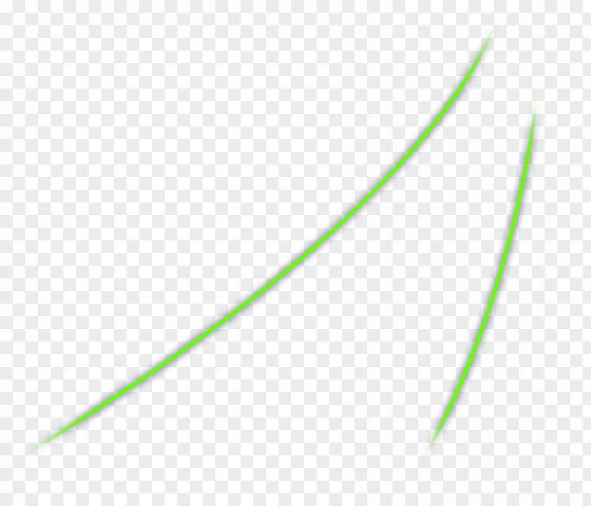 Leaf Line Grasses Angle PNG