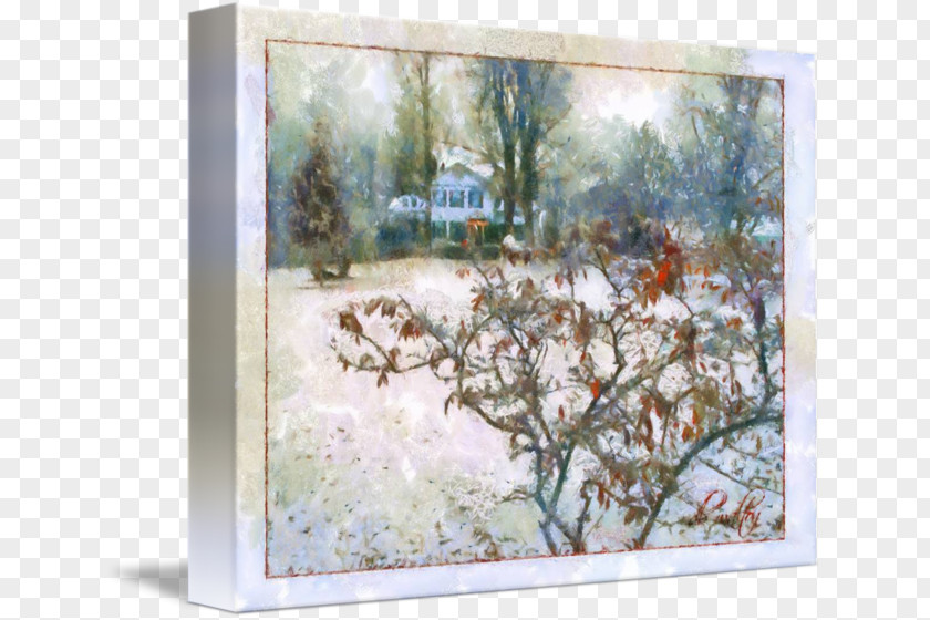 Painting Watercolor Picture Frames Branching PNG