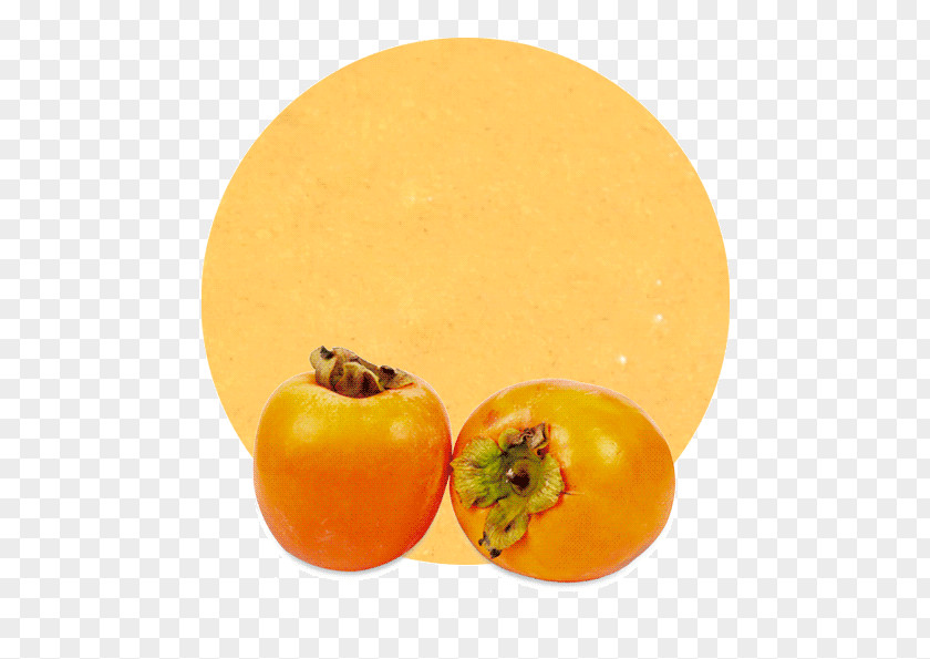 Persimmon Apple Juice Concentrate Orange PNG