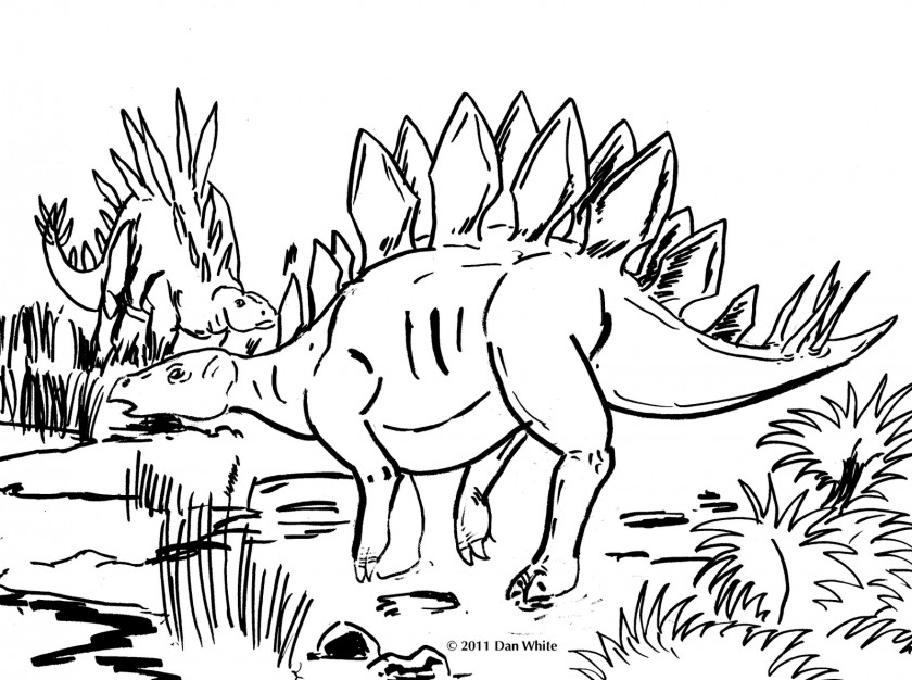 Stegosaurus Outline Tyrannosaurus Dinosaur Pictures Coloring Book PNG