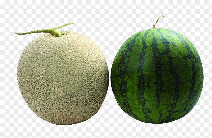 Watermelon And Cantaloupe Honeydew Galia Melon Hami PNG