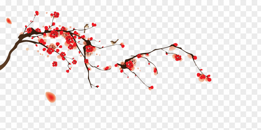China Cherry Blossom PNG