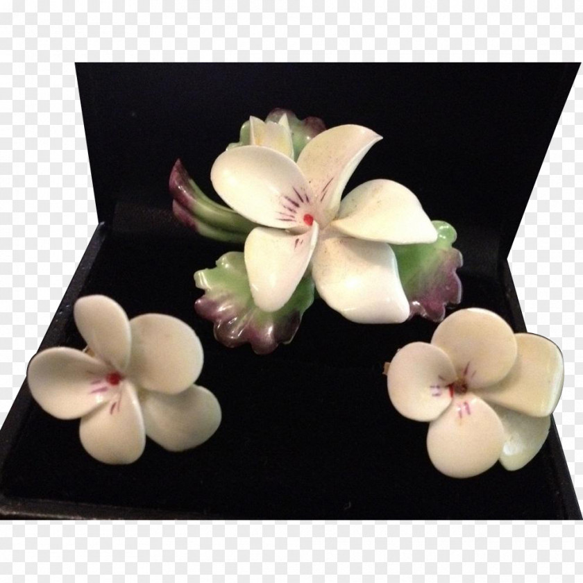 Hand-painted Plants Cut Flowers Petal PNG