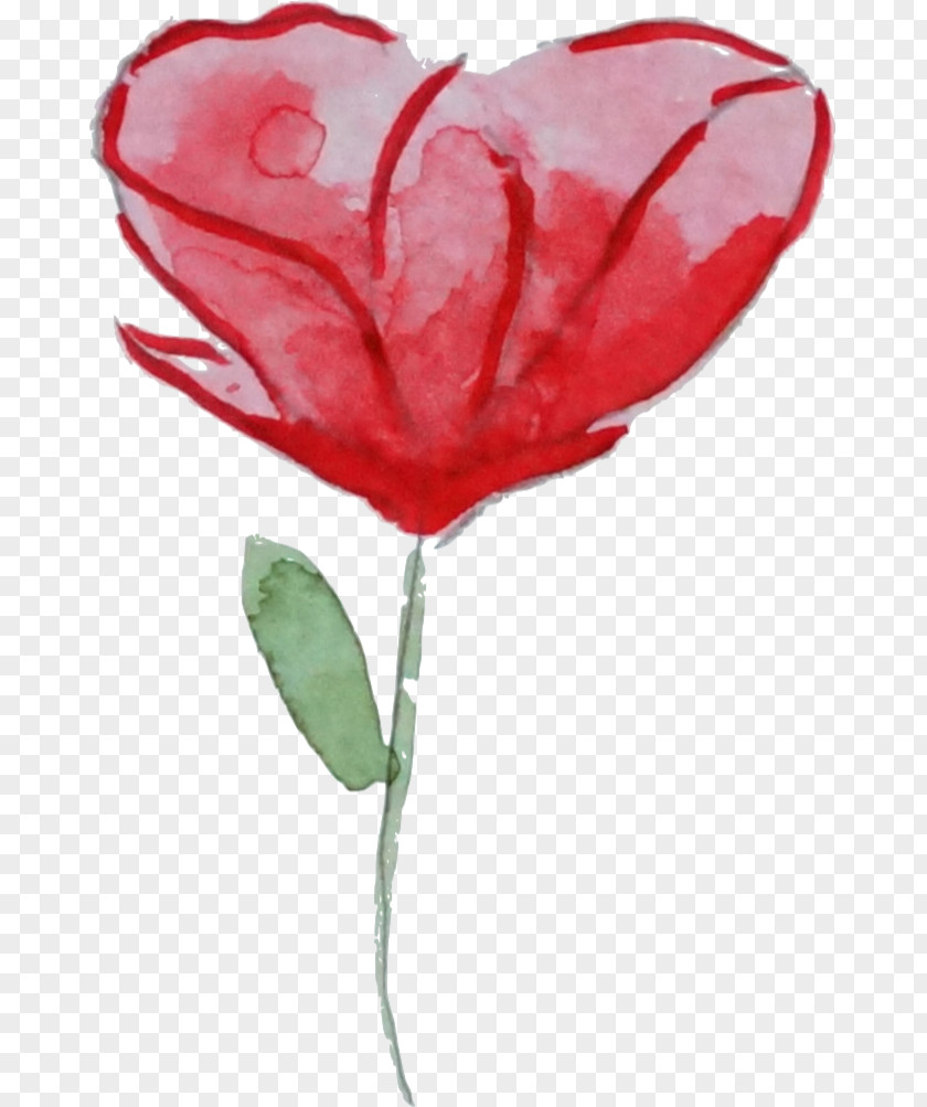 Aquarell Flower Garden Roses Watercolor Painting Poppy Clip Art PNG