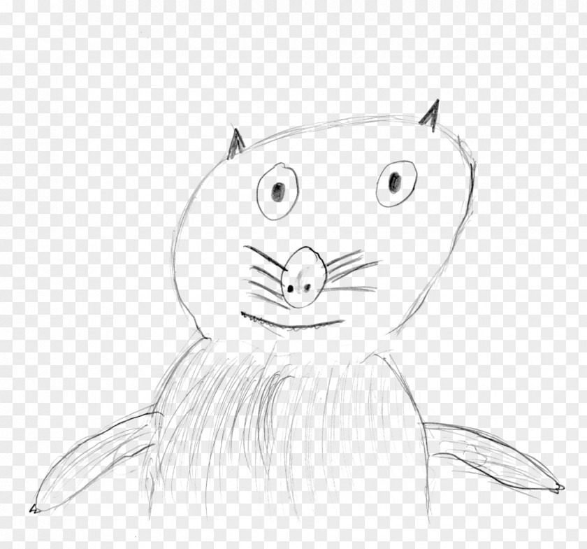 Cat Whiskers Line Art Nose Sketch PNG