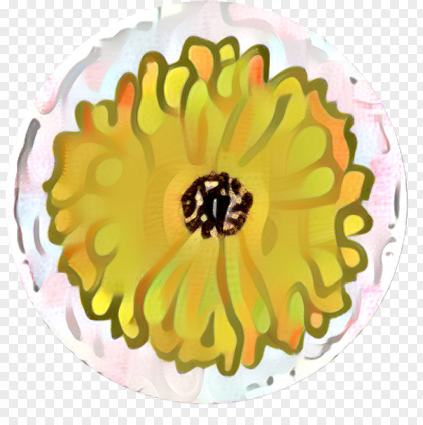 Gerbera Dishware Flowers Background PNG