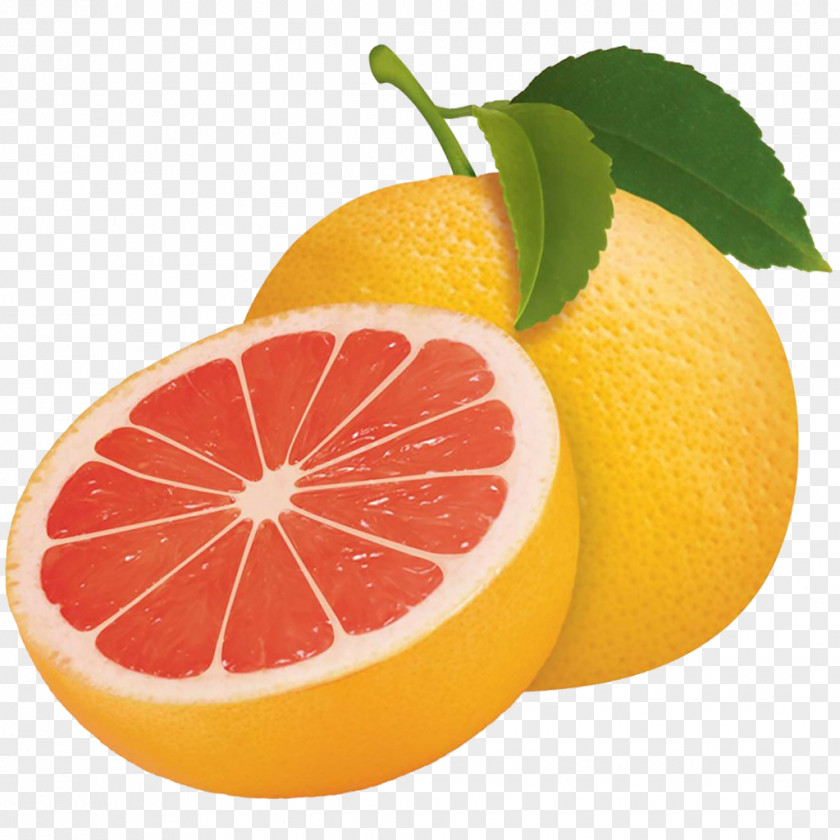 Grapefruit Sour Tangerine Bergamot Orange Lemon PNG