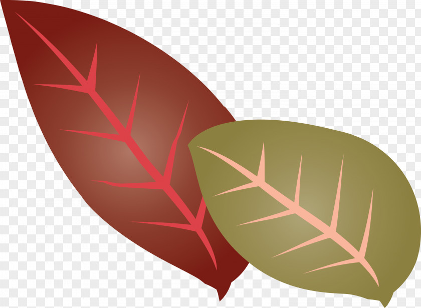 Leaf Font Flower Plants Science PNG