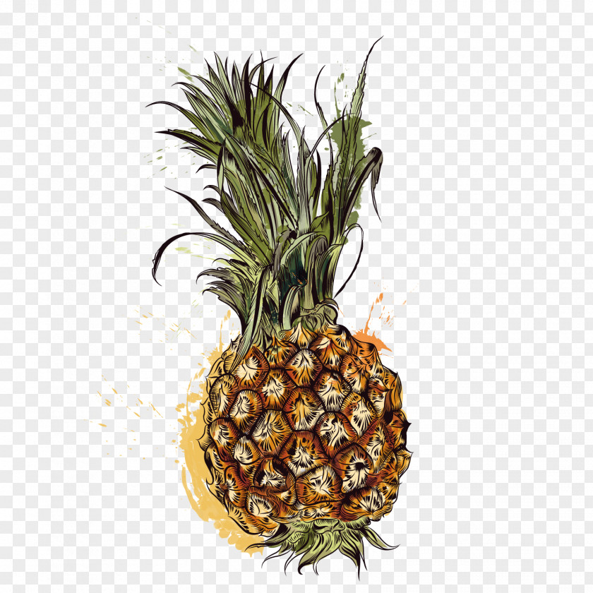 Vector Fruit Pineapple Tropic Fruits PNG
