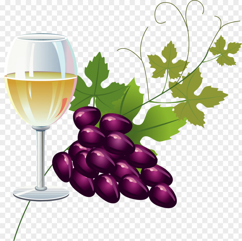 Vector Hand-painted Wine White Champagne French Cuisine Clip Art PNG