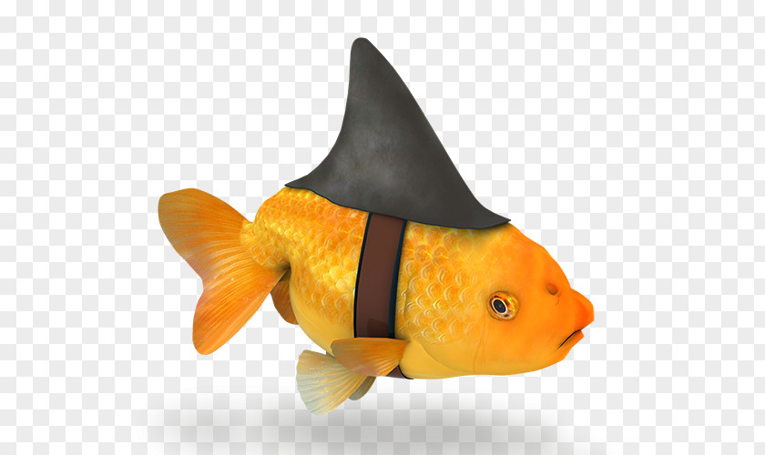Creative Vision Stock Photography Fortnite Battle Royale Shark Fin Soup PNG