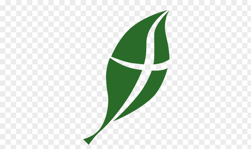 Forest Hills Presbyterian Church Walnut Creek (USA) Logo Corporation Leaf PNG