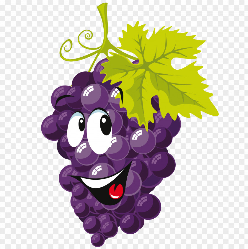 Grape Fruit Cartoon Drawing Clip Art PNG