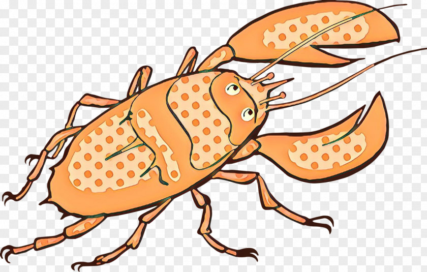 Pest Crayfish Insect Clip Art Weevil PNG