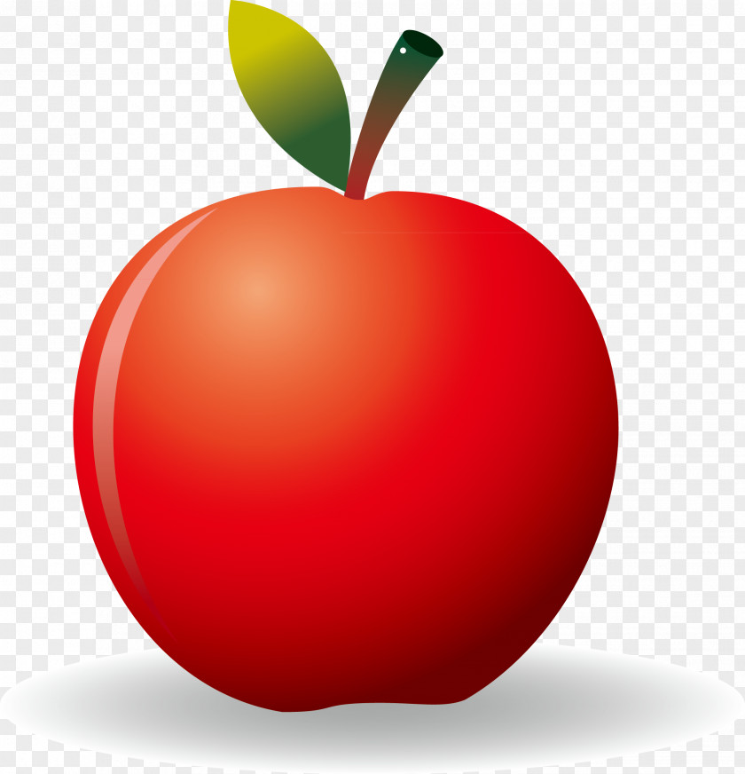 Red Apple Leaf Elements PNG