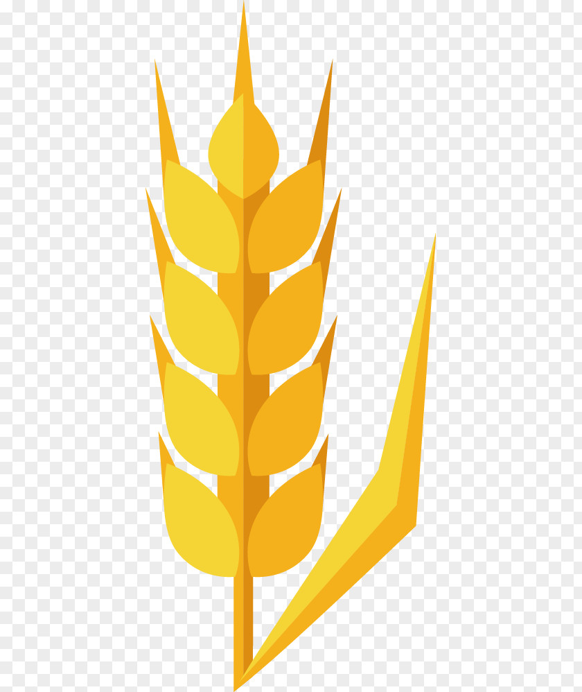 Wheat Vector Material Download Clip Art PNG