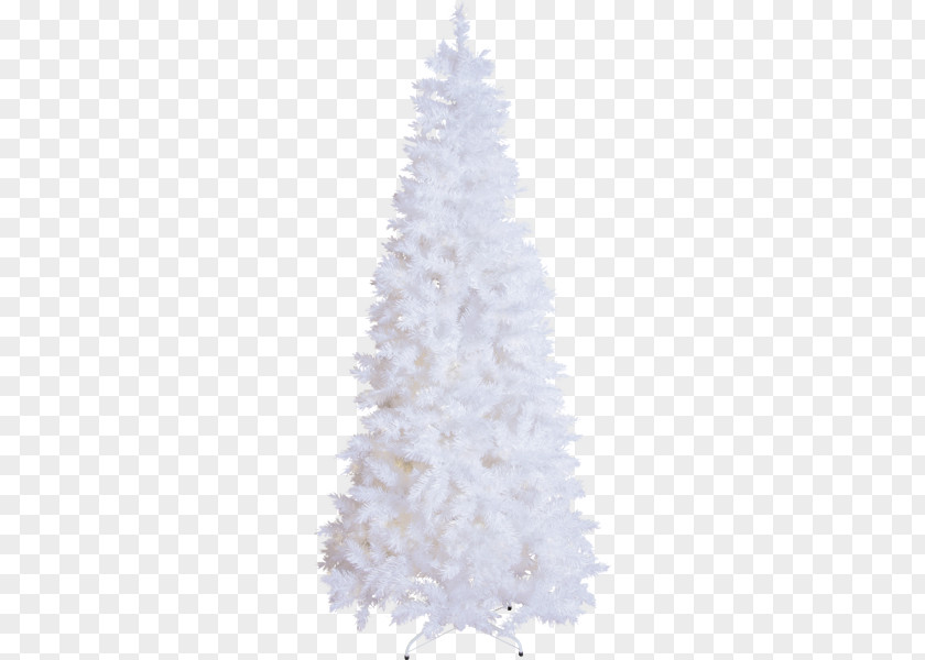 Conifer Interior Design Christmas Tree PNG