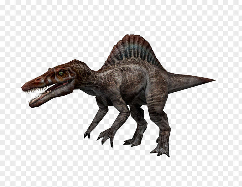 Dinosaur Spinosaurus Tyrannosaurus Velociraptor PNG