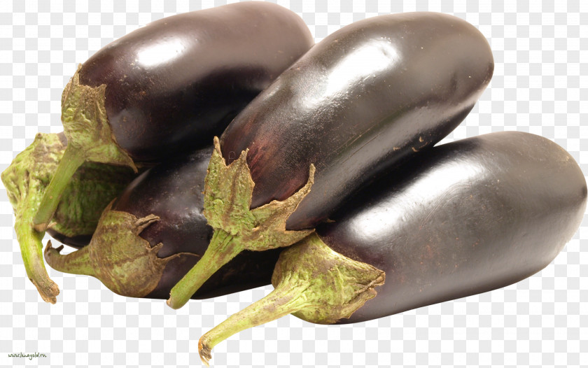 Eggplant Vegetable Food Clip Art PNG