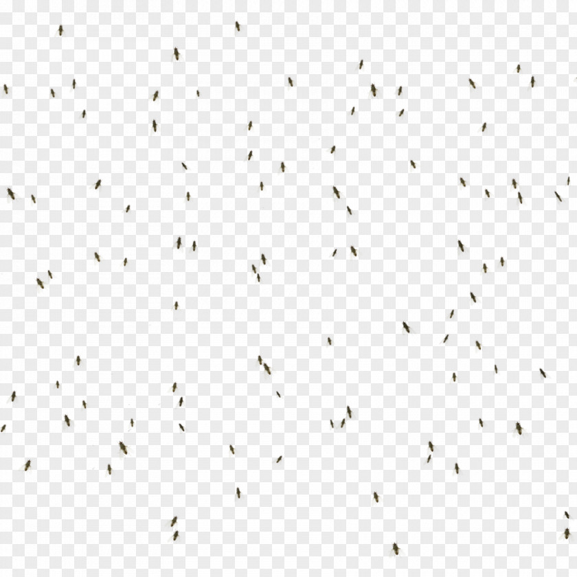Flies Line Point Angle Flock Font PNG