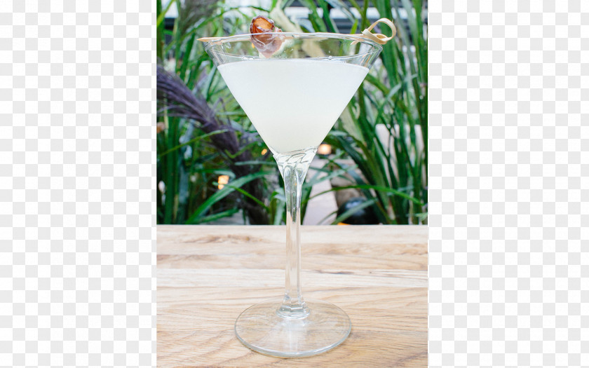 Mojito Cocktail Garnish Martini Gin Vodka PNG