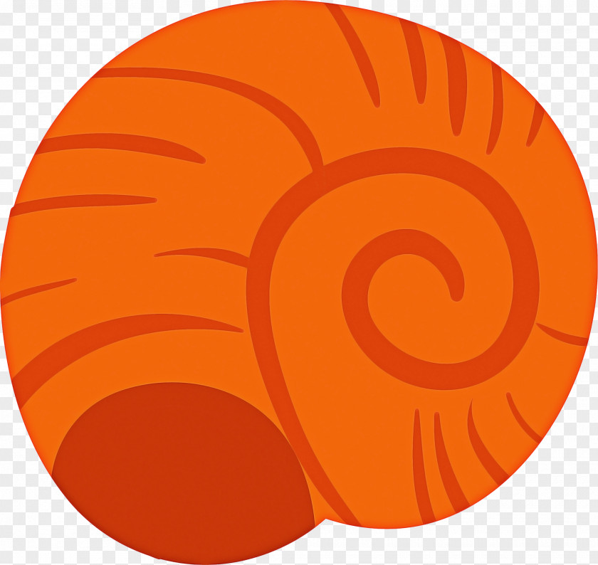 Spiral Gastropod Shell Color Background PNG