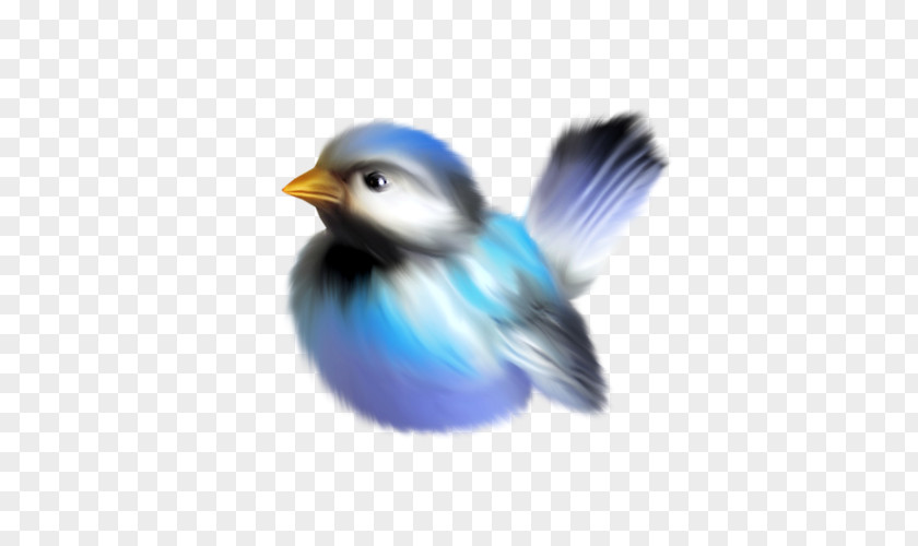 Bird Clip Art PNG