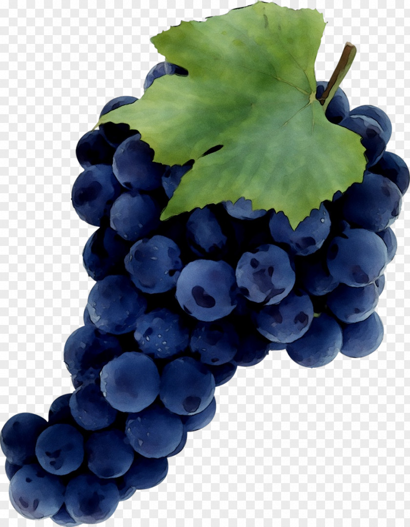 Common Grape Vine Sultana Zante Currant Juice PNG