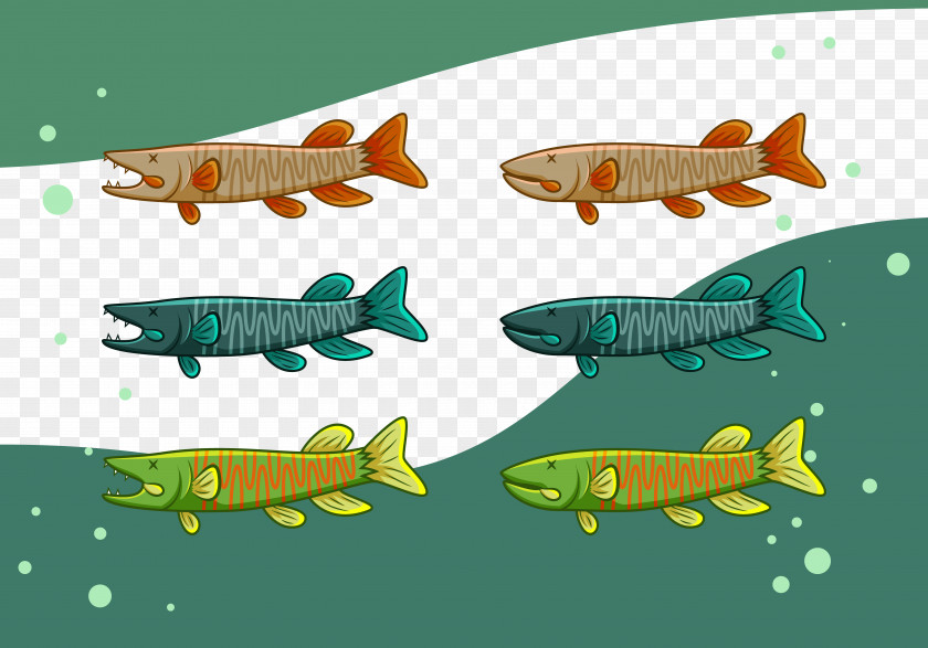 Fish Collection Text Marine Biology Fauna Illustration PNG