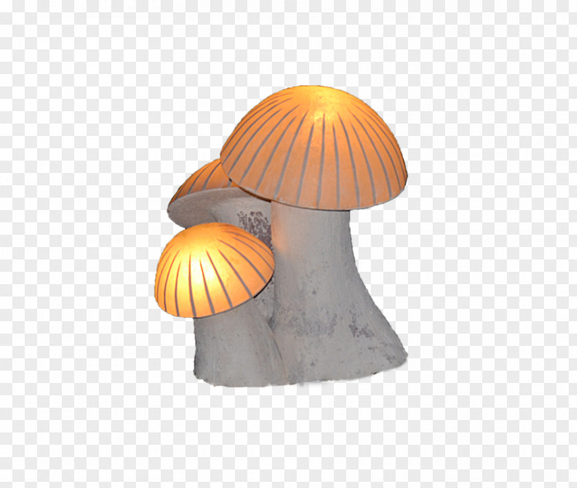 Led Illuminated Mushroom Lighting PNG