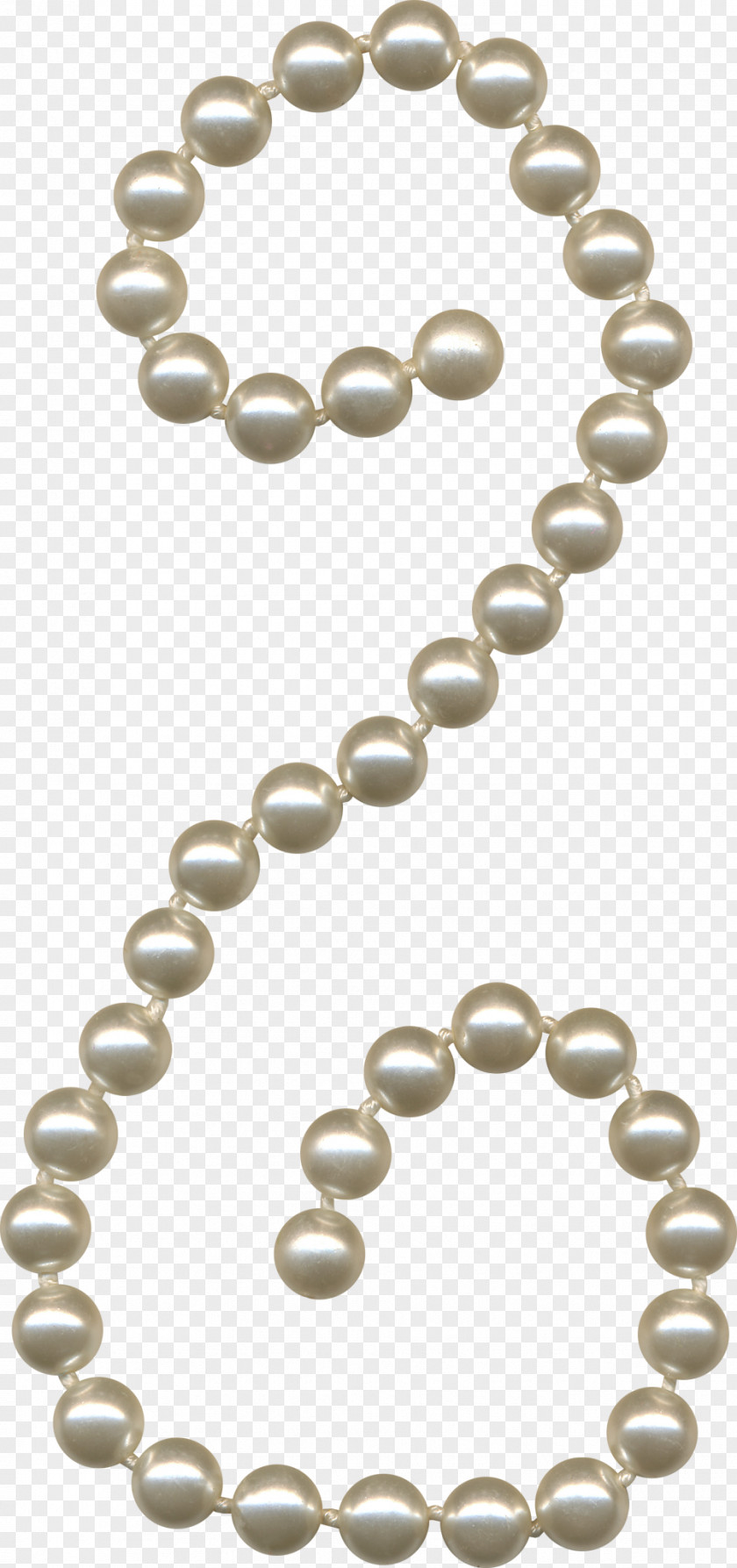 Pearl Jewelry Necklace Choker U9996u98fe PNG