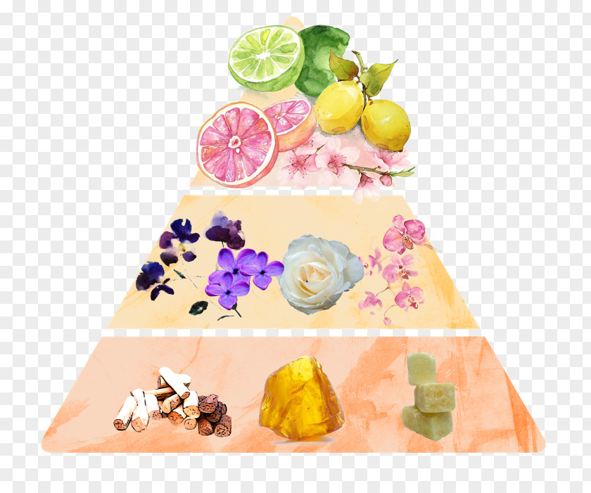 Perfume Olfaction Pyramid Air Fresheners Equivalenza PNG