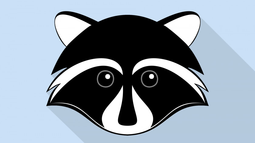Raccoon Desktop Wallpaper Animal PNG
