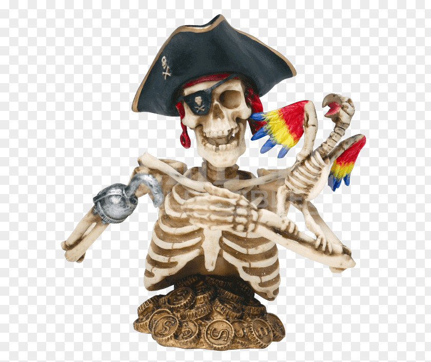 Skeleton Piracy Edward Teach Captain Hook Davy Jones Human PNG
