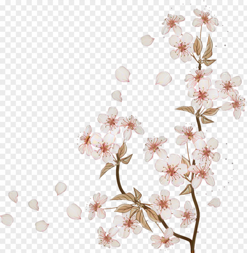 Cherry Blossom Floral Design Wedding Spring PNG