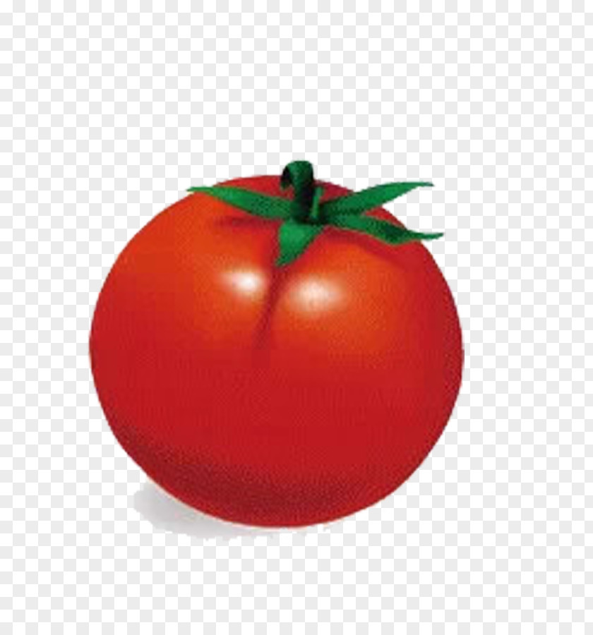 Tomato Plum Sweet And Sour Bush Apple PNG