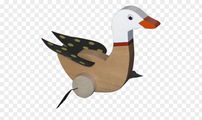 Duck Mallard Beak /m/083vt PNG