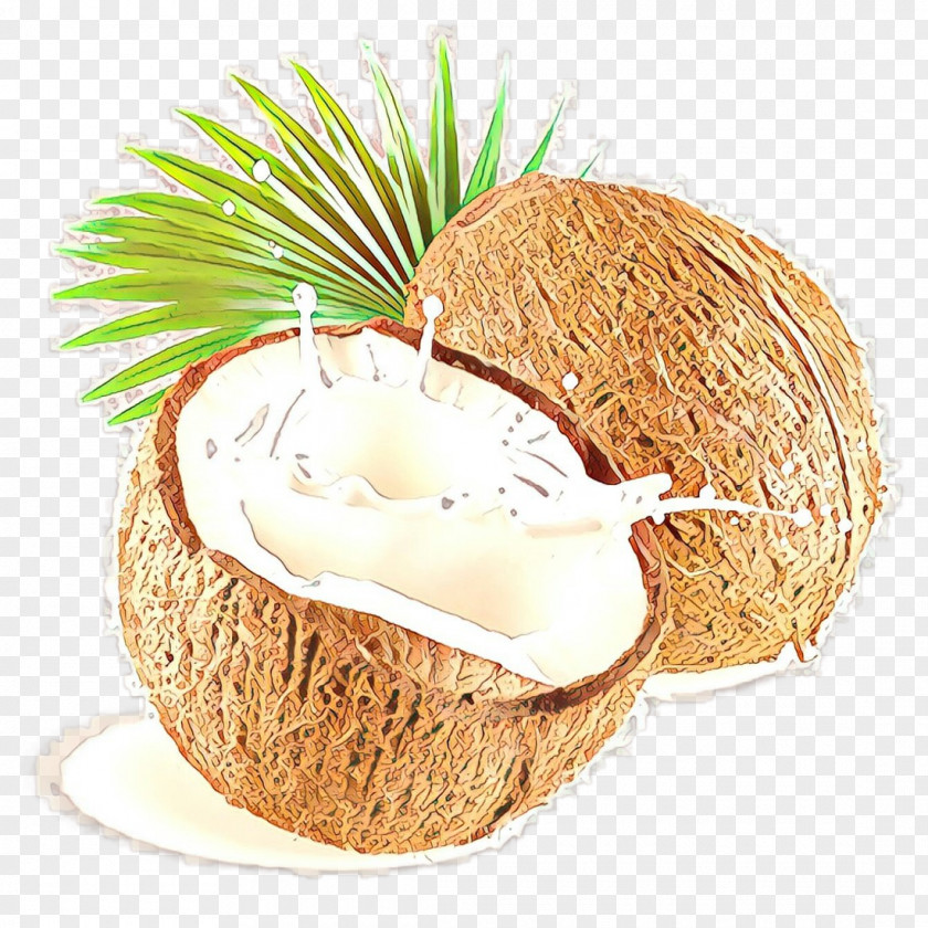 Food Coconut Water PNG